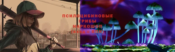 эйфоретик Вяземский