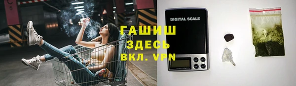 эйфоретик Вяземский