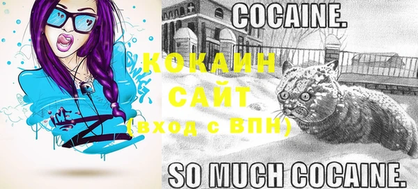 эйфоретик Вяземский