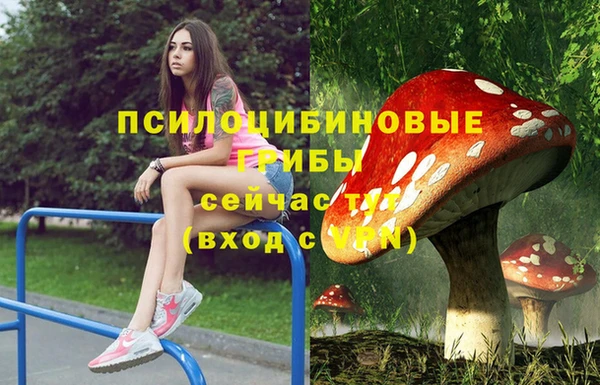 эйфоретик Вяземский