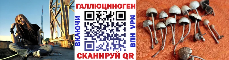 цена наркотик Электрогорск Галлюциногенные грибы GOLDEN TEACHER