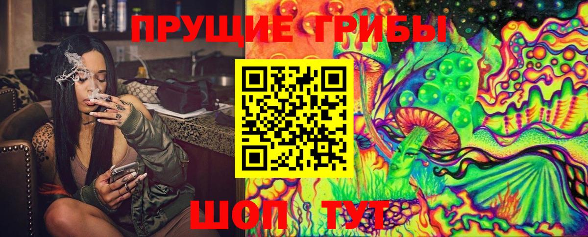 Псилоцибиновые грибы Psilocybe  Электрогорск 