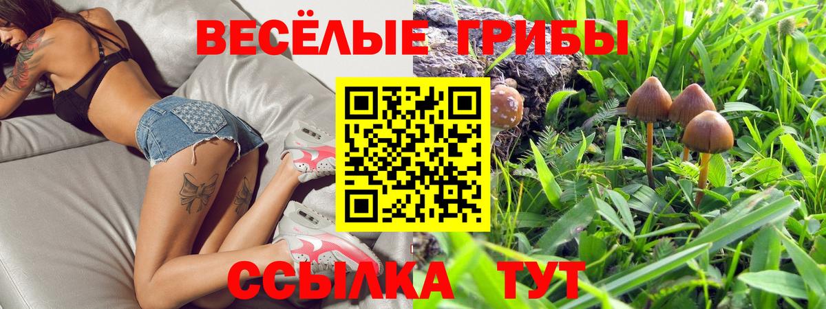 Псилоцибиновые грибы мухоморы  Вход с VPN  Электрогорск 